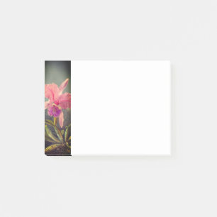 Cattleya Orchid und Three Hummingbirds Heade Post-it Klebezettel
