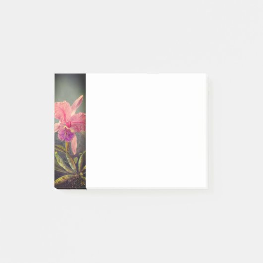 Cattleya Orchid und Three Hummingbirds Heade Post-it Klebezettel (Vorderseite)