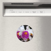 Cattleya Orchid - weiß/Lila Magnet (In Situ (Geschirrspüler))