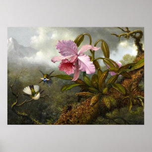 Cattleya Orchid, zwei Hummingbirds und ein Käfer Poster