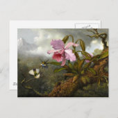 Cattleya Orchid, zwei Hummingbirds und ein Käfer Postkarte (Vorne/Hinten)
