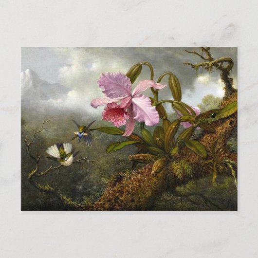 Cattleya Orchid, zwei Hummingbirds und ein Käfer Postkarte (Vorderseite)