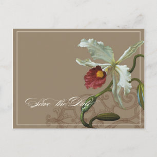 Cattleya-Orchidee Taupe - Save-the-Date-Postkarte Ankündigungspostkarte