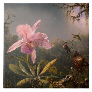 Cattleya-Orchidee und drei Kolibris (Heade) Fliese