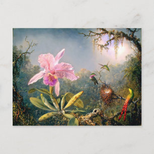 Cattleya-Orchidee und drei Kolibris Postkarte