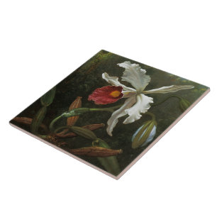 Cattleya-Orchideen Fliese