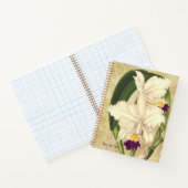 Cattleya quadricolor SpiralNotebook Notizblock (Innenseite)