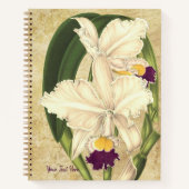 Cattleya quadricolor SpiralNotebook Notizblock (Vorderseite)