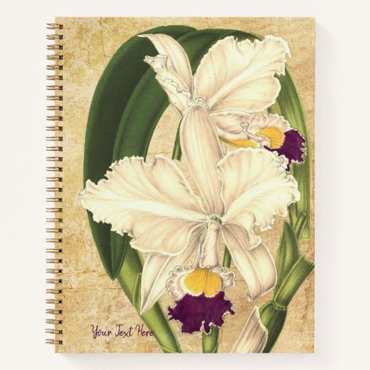 Cattleya quadricolor SpiralNotebook Notizblock (Vorderseite)