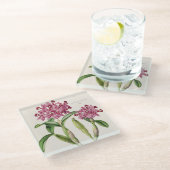 Cattleya skinnera von Bateman Orchid Print Glasuntersetzer (Schrägansicht)