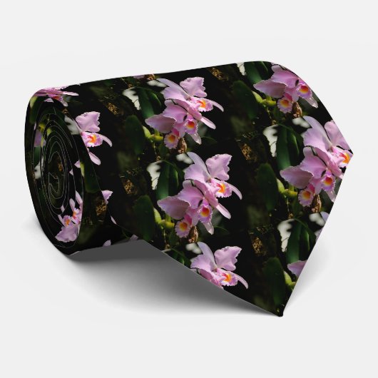 Cattleya Trianae Men-Krawatte Krawatte (Gerollt)