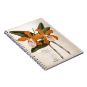 Cattleya Velutina Vintag Lindenia Orchid Notizblock (Rechte Seite)