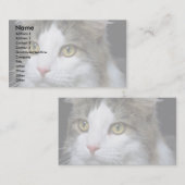 Catty Visitenkarte (Vorne/Hinten)