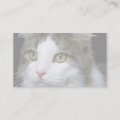 Catty Visitenkarte (Rückseite)