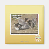 Caturday Conga Line Magnet (Vorne)