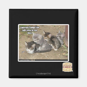 Caturday Conga Line Magnet