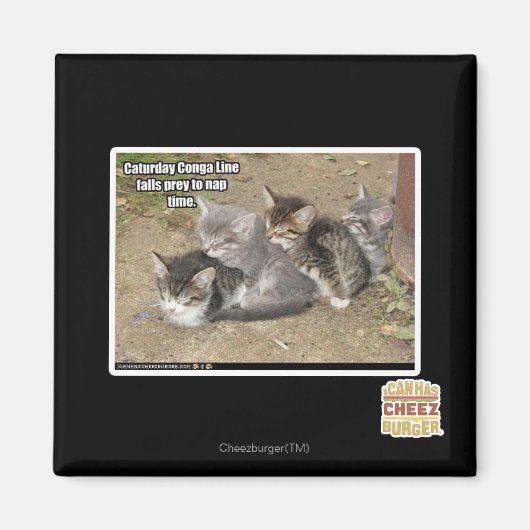 Caturday Conga Line Magnet (Vorne)
