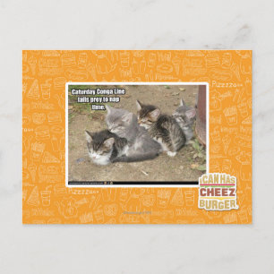 Caturday Conga Line Postkarte