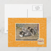 Caturday Conga Line Postkarte (Vorne/Hinten)