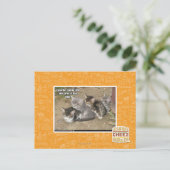 Caturday Conga Line Postkarte (Stehend Vorderseite)
