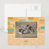 Caturday Conga Line Postkarte (Vorne/Hinten)