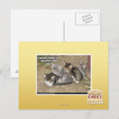 Caturday Conga Line Postkarte (Vorne/Hinten)