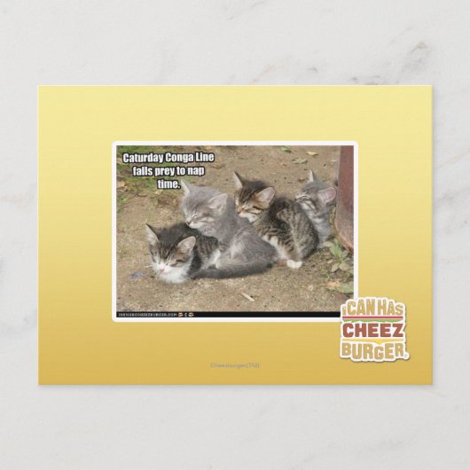 Caturday Conga Line Postkarte (Vorderseite)