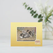Caturday Conga Line Postkarte (Stehend Vorderseite)