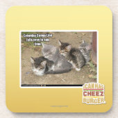 Caturday Conga-Linie Getränkeuntersetzer (Vorderseite)