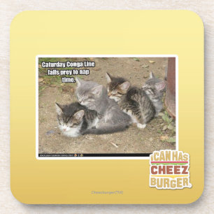 Caturday Conga-Linie Getränkeuntersetzer