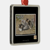 Caturday Conga-Linie Silbernes Ornament (Rechts)