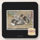 Caturday Conga-Linie Untersetzer (Vorderseite)