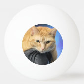 Caturday Tischtennisball (Rückseite)