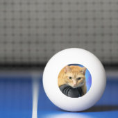 Caturday Tischtennisball (Netto)