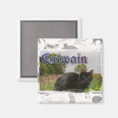 Catwain Magnet (Vorderseite/Rückseite)