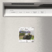 Catwain Magnet (In Situ (Geschirrspüler))