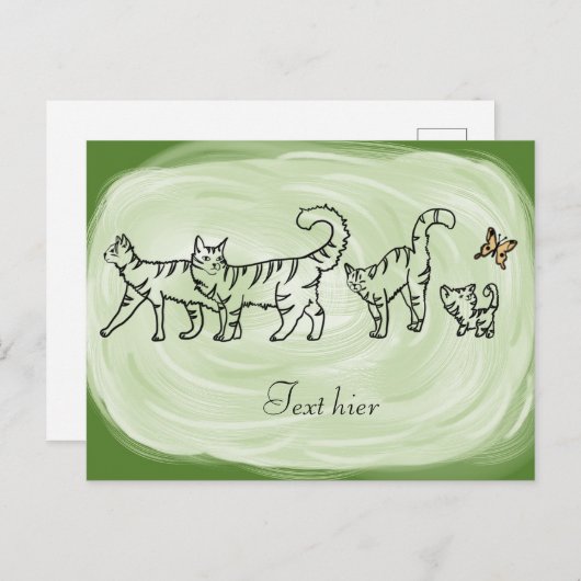 Catwalk, persönlich postkarte (Vorne/Hinten)