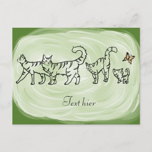 Catwalk, persönlich postkarte (Vorderseite)