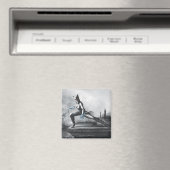 Catwoman - Blitze Magnet (In Situ (Geschirrspüler))