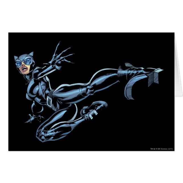 Catwoman Kicks (Vorderseite (Horizontal))