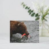 Cau, Brooks Falls Alaska Postkarte (Stehend Vorderseite)