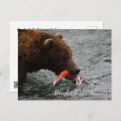 Cau, Brooks Falls Alaska Postkarte (Vorne/Hinten)