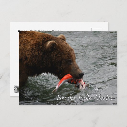 Cau, Brooks Falls Alaska Postkarte (Vorne/Hinten)