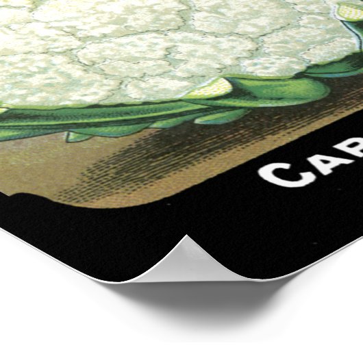 Cauliflower Card Seed CoPacket Fredonia, NY Poster (Ecke)