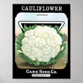 Cauliflower Card Seed CoPacket Fredonia, NY Poster (Vorne)