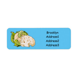 Cauliflower cartoon illustration