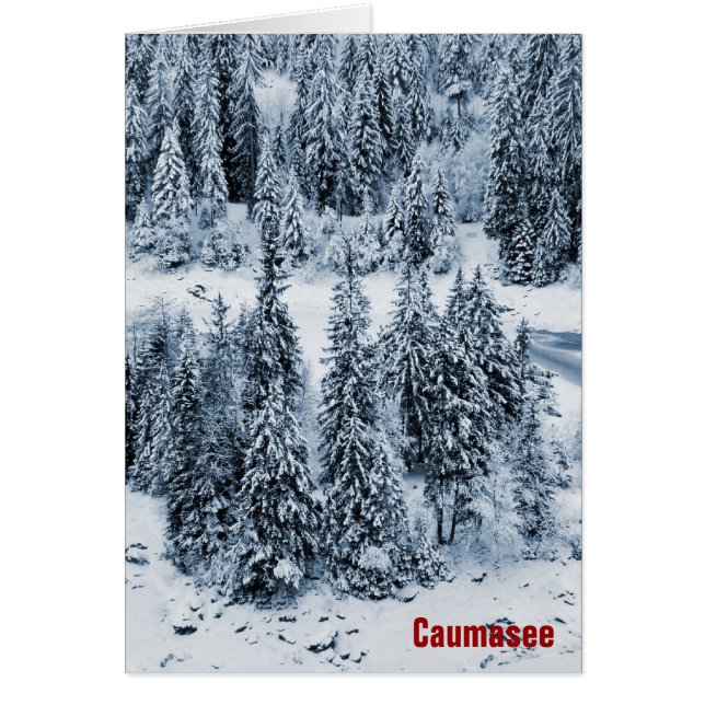 Caumasee (Vorne)
