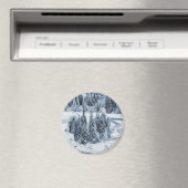 Caumasee Magnet (In Situ (Geschirrspüler))