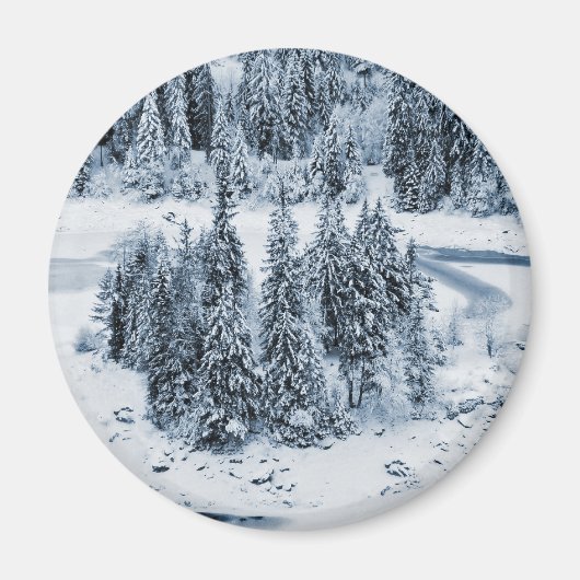 Caumasee Magnet (Vorne)
