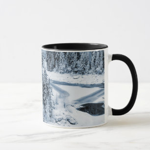 Caumasee Tasse